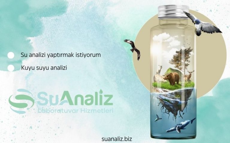 Su Analizi Yaptırmak İstiyorum: Neden ve Ne Zaman Yaptırmalıyım?