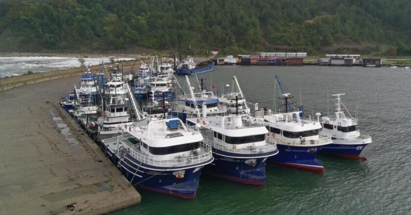 Sinop’ta olumsuz hava koşulları nedeniyle balıkçı tekneleri limana sığındı