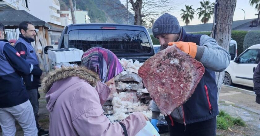 Kaçak yakalanan 380 kalkan ele geçirildi