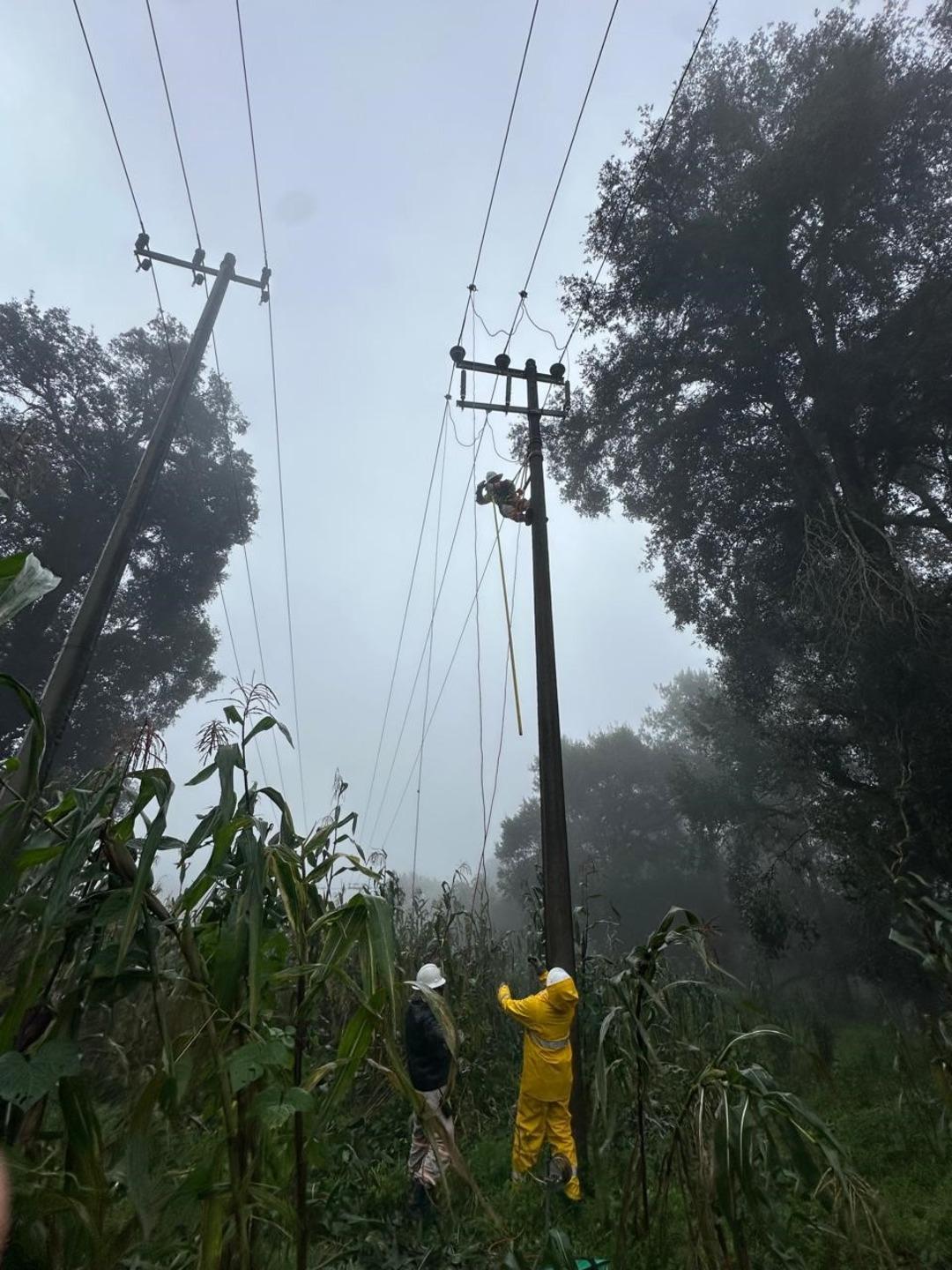 Meksika'yı etkisi altına alan feci sel! Çok sayıda ölüm var: Savunma Bakanlığı alarma geçti, bunlardan 2'si