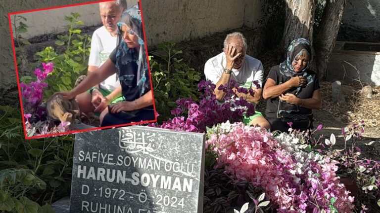 Safiye Soyman oğlunun mezarı başında gözyaşlarına boğuldu! ”Oğlumun ruhu bu kedide”
